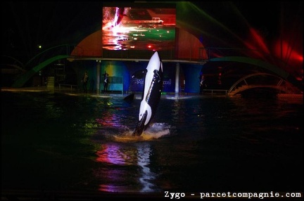 Marineland - Orques - Spectacle nocturne - 1752