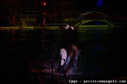 Marineland - Orques - Spectacle nocturne - 1753