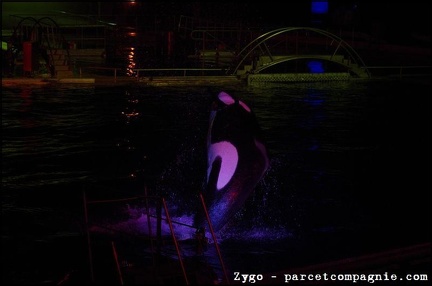 Marineland - Orques - Spectacle nocturne - 1754