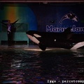 Marineland - Orques - Spectacle nocturne - 1757