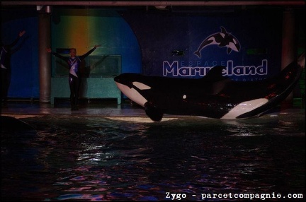 Marineland - Orques - Spectacle nocturne - 1757