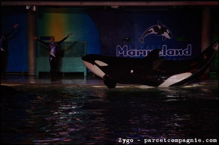 Marineland - Orques - Spectacle nocturne - 1758