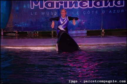 Marineland - Orques - Spectacle nocturne - 1760