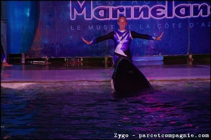 Marineland - Orques - Spectacle nocturne - 1761