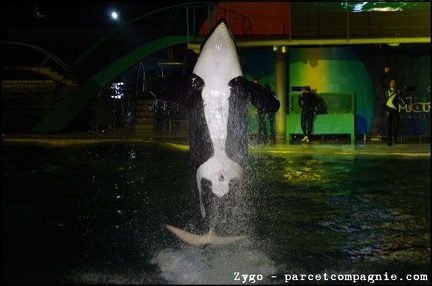 Marineland - Orques - Spectacle nocturne - 1782