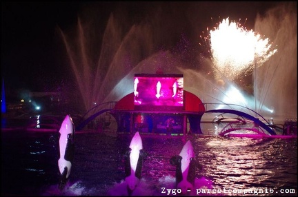 Marineland - Orques - Spectacle nocturne - 1810