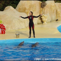 Marineland - Dauphins - Spectacle