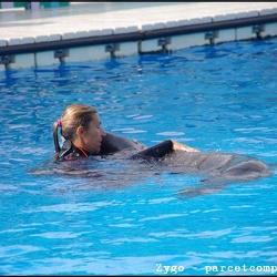 Marineland - Otaries - Apprentissage