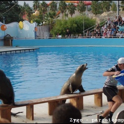 Marineland - Otaries - Spectacle