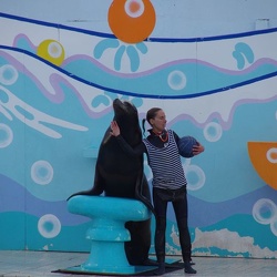 30 - Marineland - 11 decembre 2011