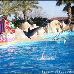 31 - Marineland - 31 decembre 2011