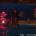 Marineland - Dauphins - Spectacle nocturne - 3455