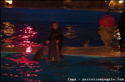 Marineland - Dauphins - Spectacle nocturne - 3455