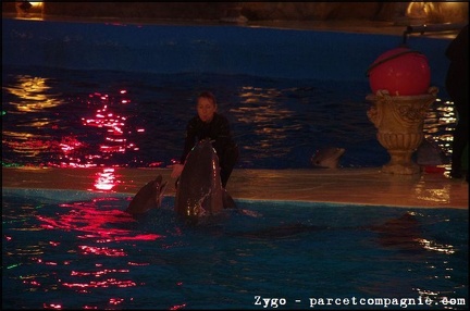 Marineland - Dauphins - Spectacle nocturne - 3456