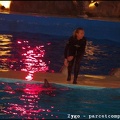 Marineland - Dauphins - Spectacle nocturne - 3457