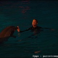 Marineland - Dauphins - Spectacle nocturne - 3464