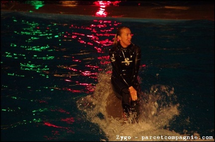 Marineland - Dauphins - Spectacle nocturne - 3474