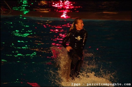 Marineland - Dauphins - Spectacle nocturne - 3475