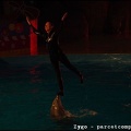 Marineland - Dauphins - Spectacle nocturne - 3477