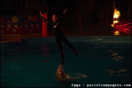 Marineland - Dauphins - Spectacle nocturne - 3477
