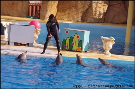 Marineland - Dauphins - Spectacle 14h30 - 009