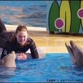 Marineland - Dauphins - Spectacle 14h30 - 015