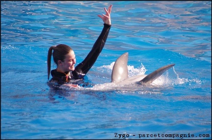 Marineland - Dauphins - Spectacle 14h30 - 027