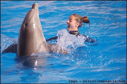 Marineland - Dauphins - Spectacle 14h30 - 031