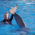 Marineland - Dauphins - Spectacle 14h30 - 032