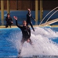 Marineland - Dauphins - Spectacle 14h30 - 039