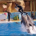 Marineland - Dauphins - Spectacle 14h30 - 044