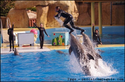 Marineland - Dauphins - Spectacle 14h30 - 044