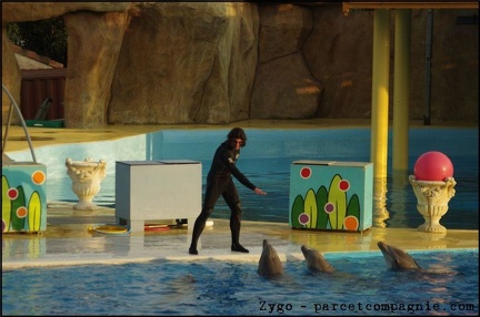 Marineland - Dauphins - Spectacle 17h00 - 051