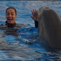 Marineland - Dauphins - Spectacle 17h00 - 054