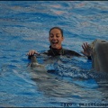 Marineland - Dauphins - Spectacle 17h00 - 055
