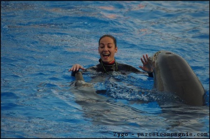 Marineland - Dauphins - Spectacle 17h00 - 055
