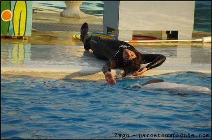 Marineland - Dauphins - Spectacle 17h00 - 056