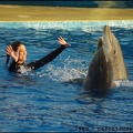 Marineland - Dauphins - Spectacle 17h00 - 058