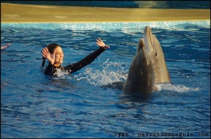 Marineland - Dauphins - Spectacle 17h00 - 058