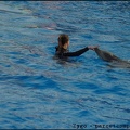 Marineland - Dauphins - Spectacle 17h00 - 059