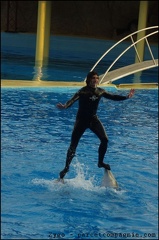 Marineland - Dauphins - Spectacle 17h00 - 063