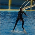 Marineland - Dauphins - Spectacle 17h00 - 064