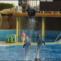 Marineland - Dauphins - Spectacle 17h00 - 067