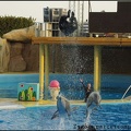 Marineland - Dauphins - Spectacle 17h00 - 068