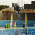 Marineland - Dauphins - Spectacle 17h00 - 069