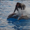 Marineland - Dauphins - Spectacle 17h00 - 073