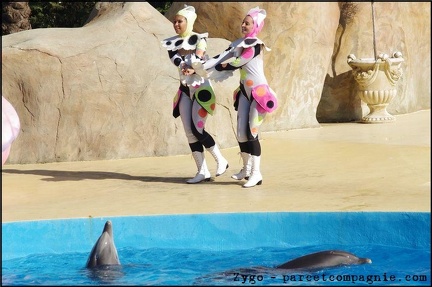 Marineland - Dauphins - Spectacle 14h30 - 043