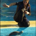 Marineland - Dauphins - Spectacle 14h30 - 052
