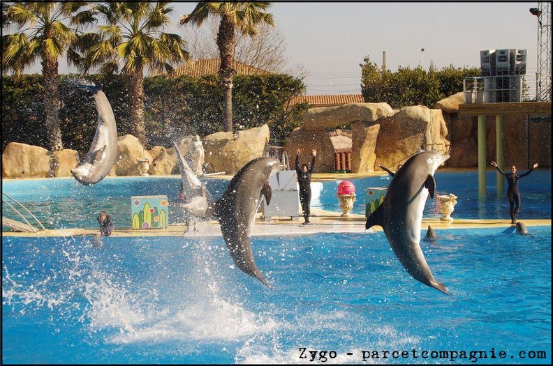 Marineland - Dauphins - Spectacle 14h30 - 053