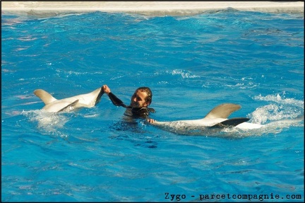 Marineland - Dauphins - Spectacle 14h30 - 055